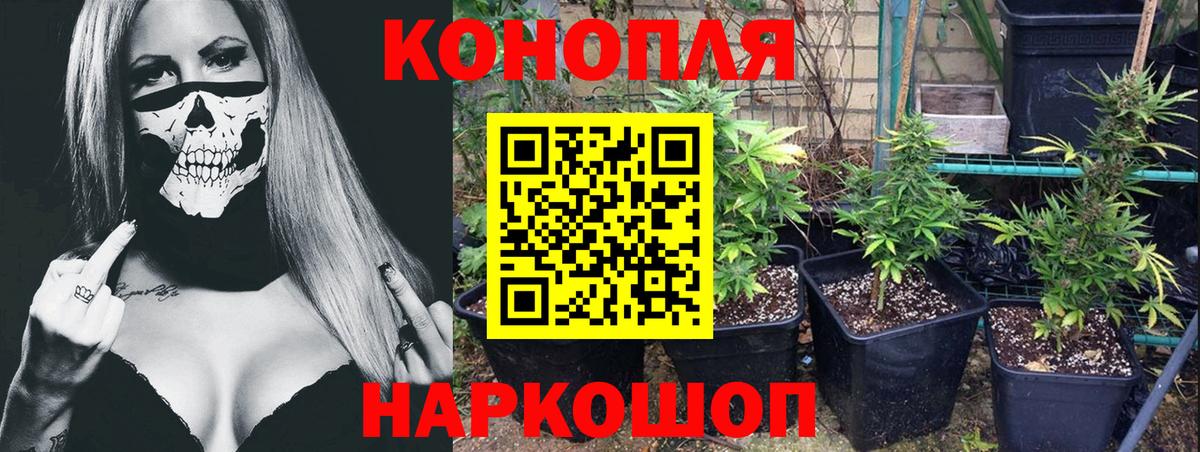 МАРИХУАНА планчик  Бошки марихуана AK-47  Вход с VPN  Алексеевка  Бошки марихуана VHQ  Шишки марихуана ГИДРОПОН 